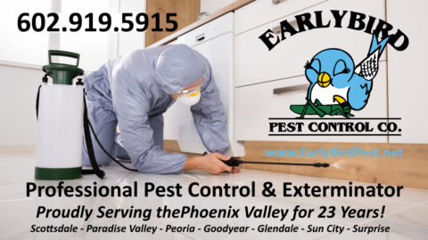 Glendale Pest Control Exterminator | Early Bird Pest Control