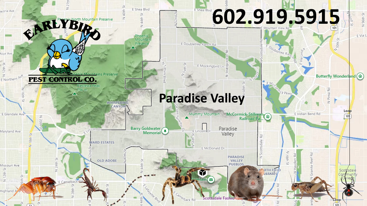 Paradise Valley Pest Control Map