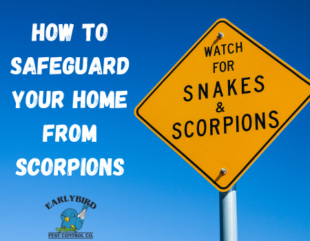 How to Safeguard Your Home from Scorpions: Tips for Arizona Residents