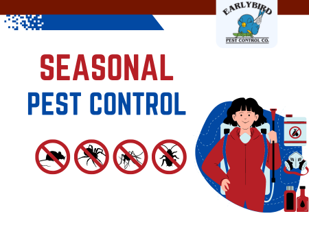 Seasonal Pest Control Tips for Arizona Homeowners