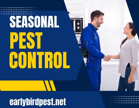 Seasonal Pest Control Tips for Arizona Homeowners