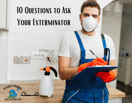 10 Questions to Ask Your Exterminator