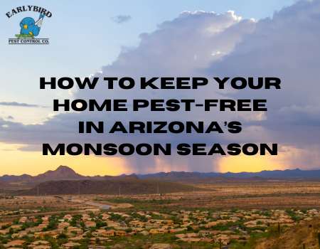 How to Keep Your Home Pest-Free in Arizona’s Monsoon Season