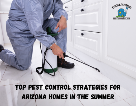 Top Pest Control Strategies for Arizona Homes in the Summer